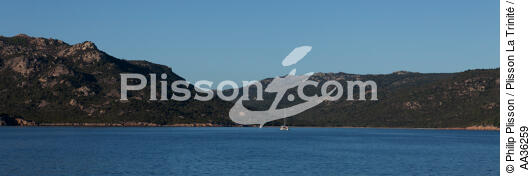 Corse Sud Est - © Philip Plisson / Plisson La Trinité / AA36259 - Nos reportages photos - Panoramique horizontal