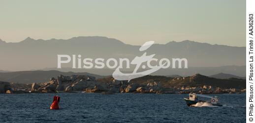 Ile de Cavallo, Corse - © Philip Plisson / Plisson La Trinité / AA36263 - Nos reportages photos - Corse