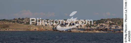 Ile de Cavallo, Corse - © Philip Plisson / Plisson La Trinité / AA36265 - Nos reportages photos - La France vue de la mer