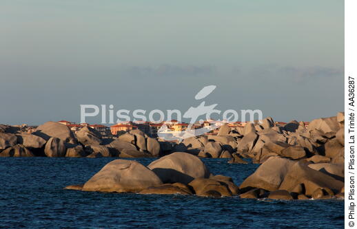 Ile Cavalo, Corse - © Philip Plisson / Plisson La Trinité / AA36287 - Nos reportages photos - Corse