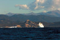 Corsica © Philip Plisson / Plisson La Trinité / AA36303 - Photo Galleries - From Lavezzi islands to Poticcio