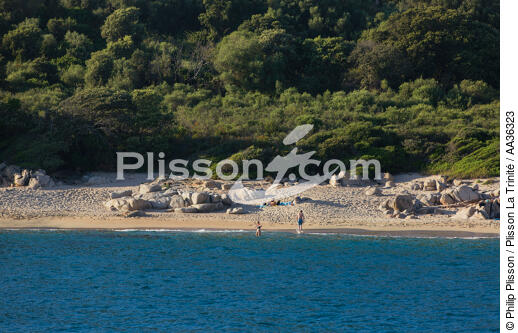 Corsica - © Philip Plisson / Plisson La Trinité / AA36323 - Photo Galleries - Beach