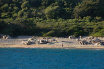 Corse © Philip Plisson / Plisson La Trinité / AA36323 - Nos reportages photos - Des îles Lavezzi à Poticcio