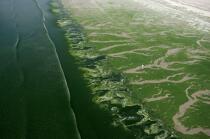 Green tide in the Bay of Douarnenez © Philip Plisson / Plisson La Trinité / AA36343 - Photo Galleries - Pollution