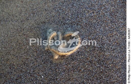 On the sand - © Philip Plisson / Plisson La Trinité / AA36367 - Photo Galleries - Sand