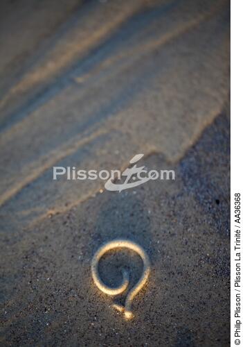 On the sand - © Philip Plisson / Plisson La Trinité / AA36368 - Photo Galleries - Sand