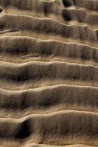 Sur le sable © Philip Plisson / Plisson La Trinité / AA36373 - Nos reportages photos - Sable
