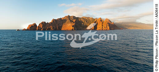 La réserve naturelle de la presqu'île de Scandola, Corse - © Philip Plisson / Plisson La Trinité / AA36418 - Nos reportages photos - D'Ajaccio à la pointe de la Revellata