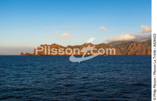 La réserve naturelle de la presqu'île de Scandola, Corse - © Philip Plisson / Plisson La Trinité / AA36423 - Nos reportages photos - Corse
