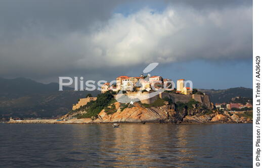 Calvi, Corsica - © Philip Plisson / Plisson La Trinité / AA36429 - Photo Galleries - From Calvi to Pietranera