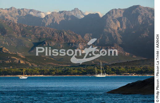 Calvi Bay, Corsica - © Philip Plisson / Plisson La Trinité / AA36434 - Photo Galleries - From Calvi to Pietranera