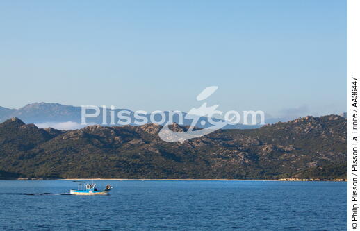 Corsica - © Philip Plisson / Plisson La Trinité / AA36447 - Photo Galleries - From Calvi to Pietranera
