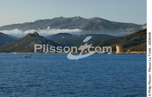 Corsica - © Philip Plisson / Plisson La Trinité / AA36448 - Photo Galleries - From Calvi to Pietranera