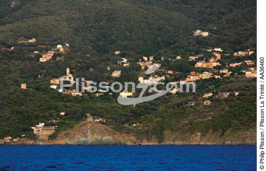 Pino, Corse - © Philip Plisson / Plisson La Trinité / AA36460 - Nos reportages photos - La France vue de la mer