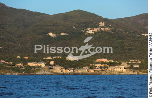 Centuri, Corse - © Philip Plisson / Plisson La Trinité / AA36462 - Nos reportages photos - Corse