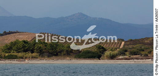 Cateraggio, Corse - © Philip Plisson / Plisson La Trinité / AA36507 - Nos reportages photos - La France vue de la mer