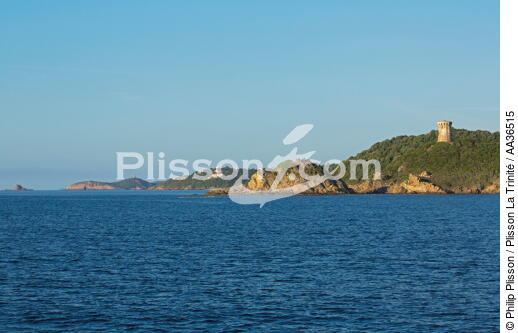 Fautea, Corse - © Philip Plisson / Plisson La Trinité / AA36515 - Nos reportages photos - De Bastia au golfe de Santa Manza