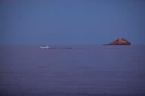 The Roscana island, Corsica © Philip Plisson / Plisson La Trinité / AA36517 - Photo Galleries - Corsica