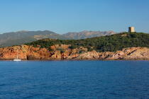 I^le de Pinarellu, Corse © Philip Plisson / Plisson La Trinité / AA36519 - Nos reportages photos - La France vue de la mer
