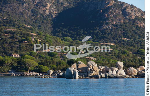 Palombaggia, Corse - © Philip Plisson / Plisson La Trinité / AA36528 - Nos reportages photos - Collection Créative