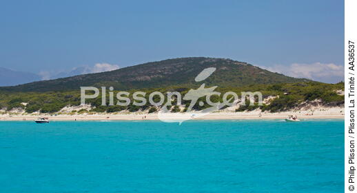 Saleccia beach, Corsica - © Philip Plisson / Plisson La Trinité / AA36537 - Photo Galleries - Beach