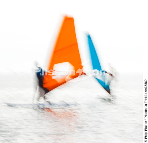 Planches voiles - © Philip Plisson / Plisson La Trinité / AA36589 - Nos reportages photos - Sport nautique