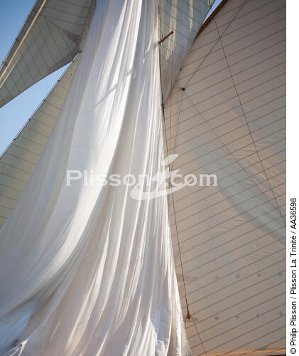 Classic week sails - © Philip Plisson / Plisson La Trinité / AA36598 - Photo Galleries - Marine Decoration