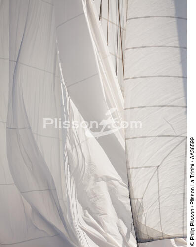 Les voiles de la classic week - © Philip Plisson / Plisson La Trinité / AA36599 - Nos reportages photos - Déco Marine