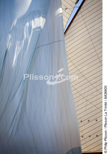 Classic week sails - © Philip Plisson / Plisson La Trinité / AA36600 - Photo Galleries - Yachting