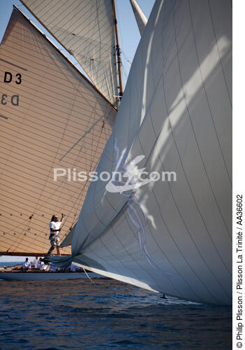 Classic week sails - © Philip Plisson / Plisson La Trinité / AA36602 - Photo Galleries - Marine Decoration