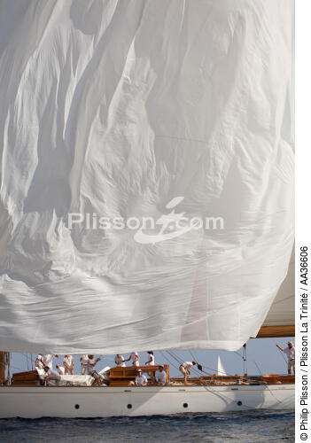 Classic week sails - © Philip Plisson / Plisson La Trinité / AA36606 - Photo Galleries - Marine Decoration