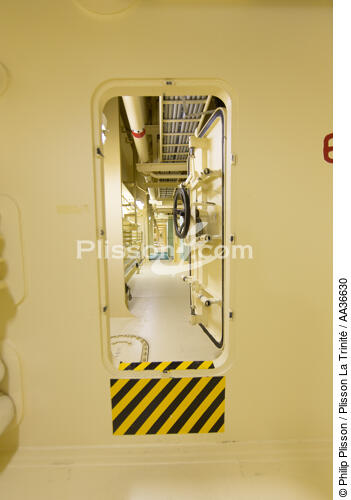 CMA CGM Jules Verne - © Philip Plisson / Plisson La Trinité / AA36630 - Nos reportages photos - Porte-conteneurs