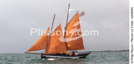 La Semaine du Golfe 2013 - © Philip Plisson / Plisson La Trinité / AA36930 - Nos reportages photos - Voile tradition