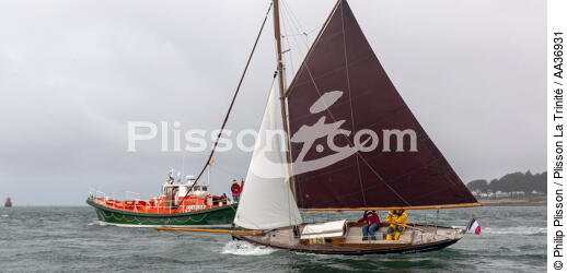 La Semaine du Golfe 2013 - © Philip Plisson / Plisson La Trinité / AA36931 - Photo Galleries - Traditional sailing