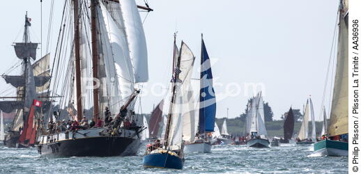 La Semaine du Golfe 2013 - © Philip Plisson / Plisson La Trinité / AA36936 - Photo Galleries - Traditional sailing