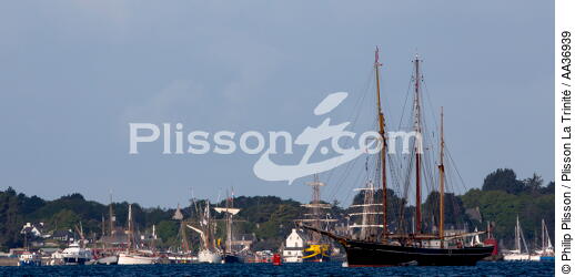 La Semaine du Golfe 2013 - © Philip Plisson / Plisson La Trinité / AA36939 - Photo Galleries - Traditional sailing