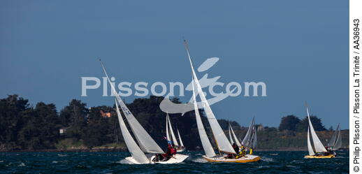 La Semaine du Golfe 2013 - © Philip Plisson / Plisson La Trinité / AA36943 - Photo Galleries - Traditional sailing
