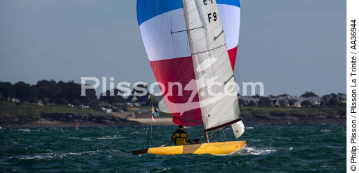 La Semaine du Golfe 2013 - © Philip Plisson / Plisson La Trinité / AA36944 - Photo Galleries - Traditional sailing