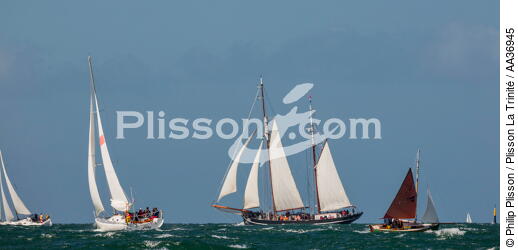 La Semaine du Golfe 2013 - © Philip Plisson / Plisson La Trinité / AA36945 - Photo Galleries - Traditional sailing