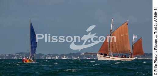 La Semaine du Golfe 2013 - © Philip Plisson / Plisson La Trinité / AA36946 - Nos reportages photos - Site [56]