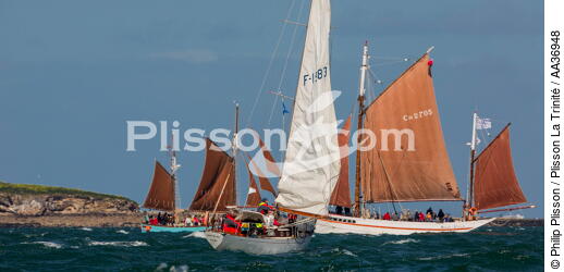 La Semaine du Golfe 2013 - © Philip Plisson / Plisson La Trinité / AA36948 - Photo Galleries - Traditional sailing
