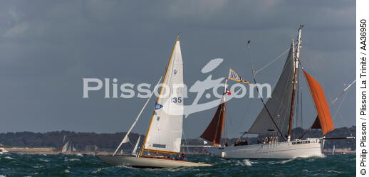 La Semaine du Golfe 2013 - © Philip Plisson / Plisson La Trinité / AA36950 - Photo Galleries - Traditional sailing