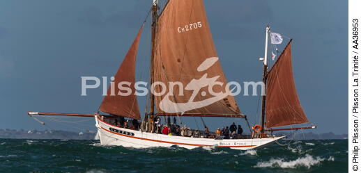 La Semaine du Golfe 2013 - © Philip Plisson / Plisson La Trinité / AA36953 - Photo Galleries - Traditional sailing