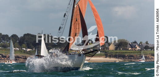 La Semaine du Golfe 2013 - © Philip Plisson / Plisson La Trinité / AA36954 - Nos reportages photos - Bretagne