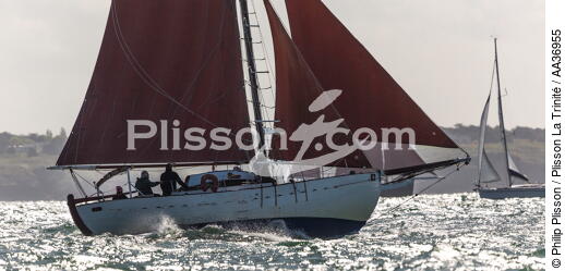 La Semaine du Golfe 2013 - © Philip Plisson / Plisson La Trinité / AA36955 - Photo Galleries - Traditional sailing