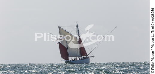 La Semaine du Golfe 2013 - © Philip Plisson / Plisson La Trinité / AA36956 - Photo Galleries - Traditional sailing