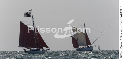 La Semaine du Golfe 2013 - © Philip Plisson / Plisson La Trinité / AA36957 - Photo Galleries - Traditional sailing