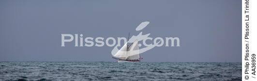 La Semaine du Golfe 2013 - © Philip Plisson / Plisson La Trinité / AA36959 - Photo Galleries - Traditional sailing