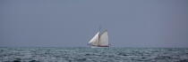 La Semaine du Golfe 2013 © Philip Plisson / Plisson La Trinité / AA36959 - Photo Galleries - Sailing boat