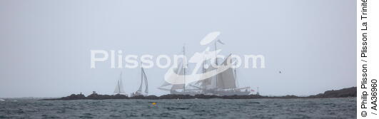 La Semaine du Golfe 2013 - © Philip Plisson / Plisson La Trinité / AA36960 - Photo Galleries - Sailing boat